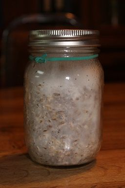 mushroom spawn in a jar