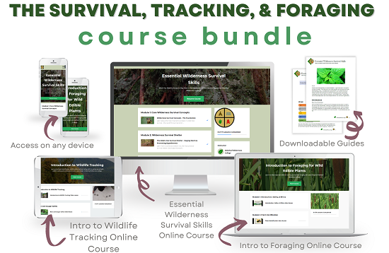 survival tracking foraging bundle image 5