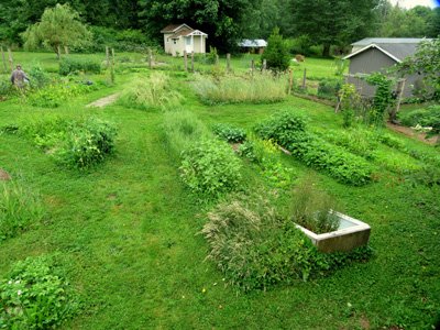 garden at Alderleaf